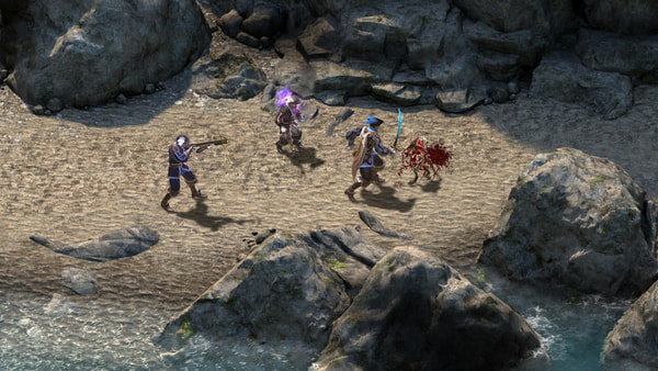 pillars of eternity multiplayer gameplay