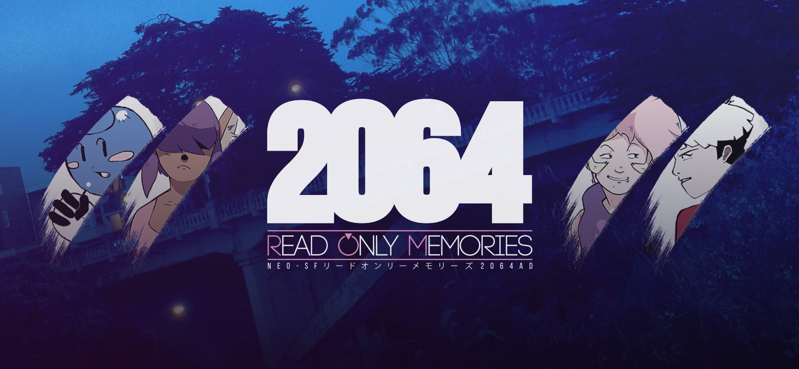 Image result for 2064 read only memories
